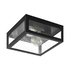 Contempory decorative ceiling light - Black (C703B)