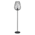 Newton Shaded Floor Light - Black (FL30)