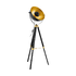 Covaleda Tripod Floor Light - Black/Gold (FL82BG)