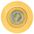 Tilt Twist Recessed Downlight - Polished Brass (D19PB)