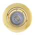 Tilt Curved Rim Recessed Downlight - Polished Brass (D22PB)