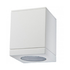 Echo Ceiling Light - White (O135W)