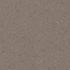 Dark Cold Beige