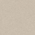 Light Warm Beige