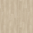 Holm Oak Classic