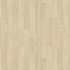 Holm Oak Blonde