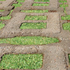 Eco-Link®
