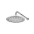 Savio shower arm and rose