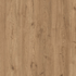 Salerno Oak  Golden