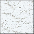 Fissured
