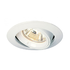 12V Tilt Downlight - White (CC18-W)