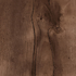 Apollo Yew