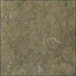 Chestnut Brown