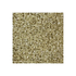 Econo Ivory